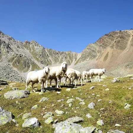 Alpin.1 *