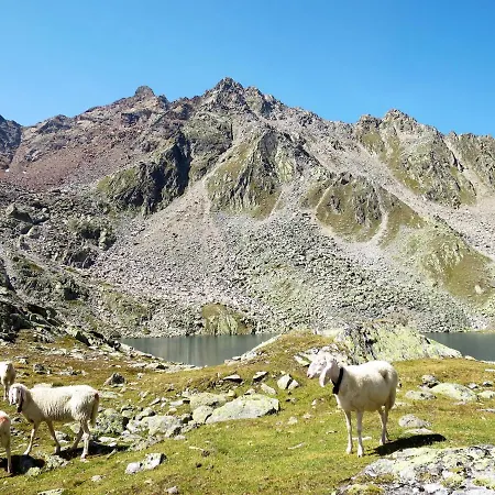 Alpin.1